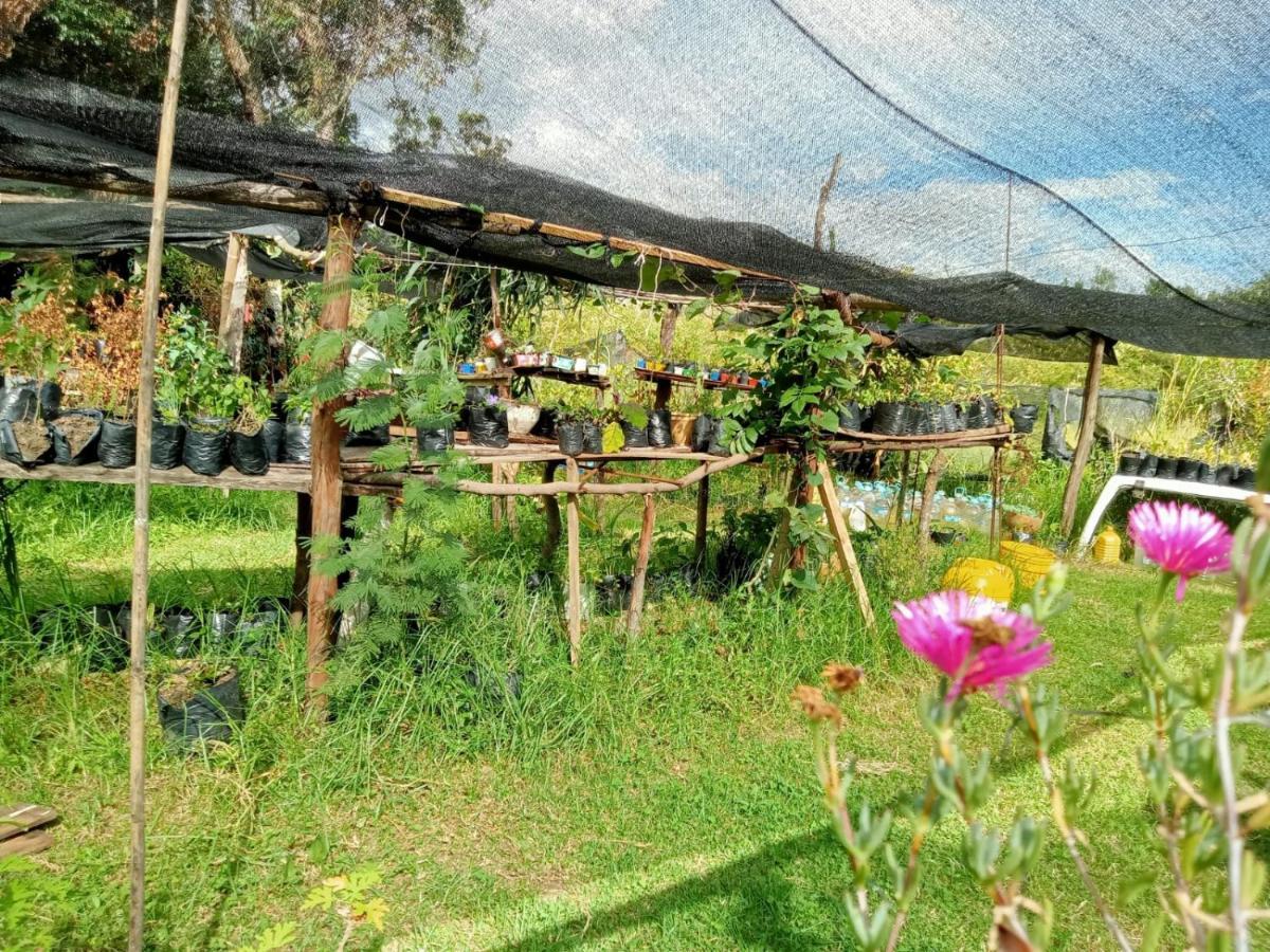 Hospedaje Y Zona De Camping Pistacho Pensionat Villa de Leyva Eksteriør billede