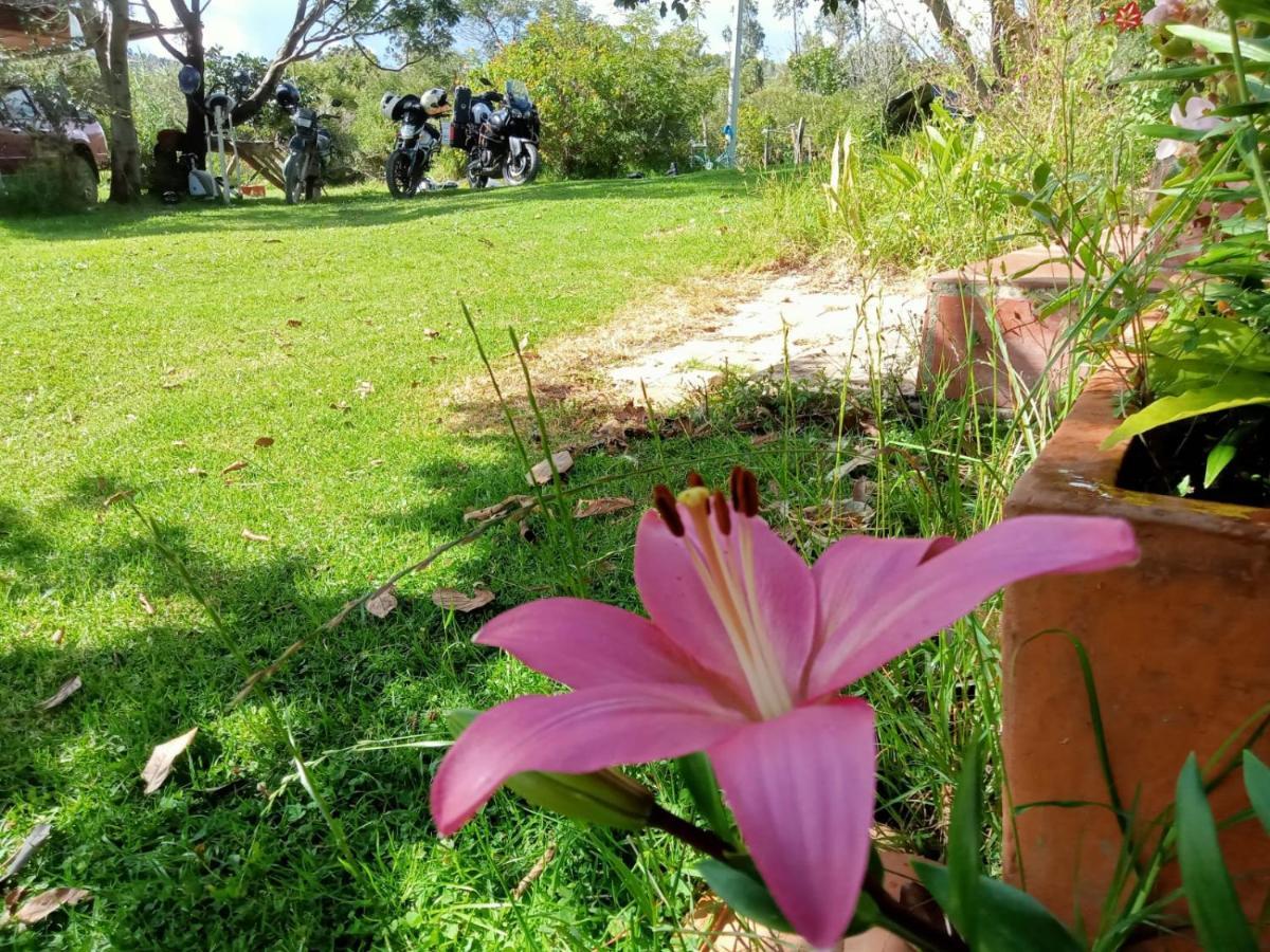 Hospedaje Y Zona De Camping Pistacho Pensionat Villa de Leyva Eksteriør billede