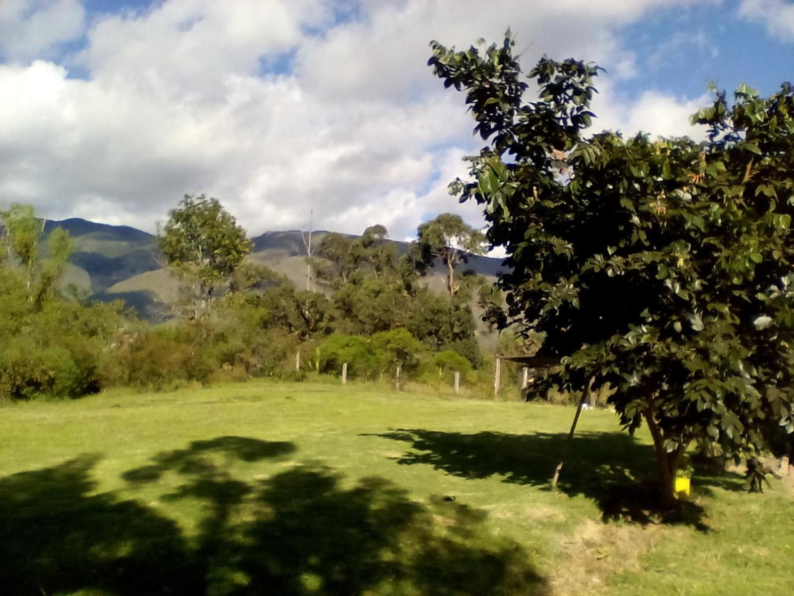 Hospedaje Y Zona De Camping Pistacho Pensionat Villa de Leyva Eksteriør billede