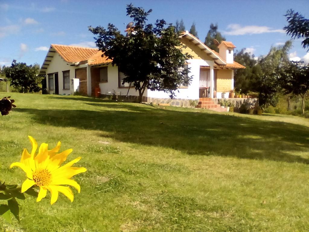 Hospedaje Y Zona De Camping Pistacho Pensionat Villa de Leyva Eksteriør billede
